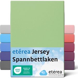 etérea - Jersey - Hoeslaken - Mint - 100% Katoen, Oeko-Tex Made in Green, Geschikt voor Matrassen tot 200x220 cm