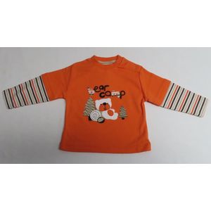 T shirt met lange mouwen - Jongens - Oranje - Beer - 3 maand 62