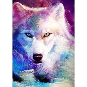 Full Diamond Painting Volwassenen - Ronde Steentjes - Volledig Pakket - Hobby - Dieren - Witte wolf met paarse achtergrond 50x65 cm