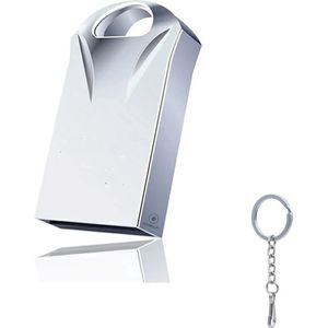 LUXWALLET DataPulse – USB 2.0 Flashdrive - Sleutelhanger Design – 32GB – Metalen Behuizing – USB-Stick – Stijlvol Design - Zilver