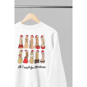 Foute kersttrui - All I want for christmas dicks - Wurban Wear | 18+ | Grappige sweater | Leuk cadeau | Unisex sweater | Oversized sweater | Kersttrui heren | Foute kerstkleding | Kerst sweater | Kersttrui dames | Foute kersttruiendag 2025 | Wit