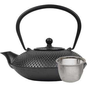 Special Leaves - Gietijzeren Theepot 'Shizuka' - Inclusief RVS Filter - 0.8 liter - Zwart - Traditionele Japanse Theepot - Moederdag Cadeautje