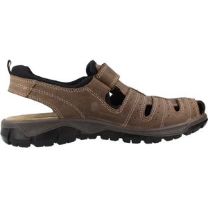 IGI&CO U EVEREST Bruin 43 EU