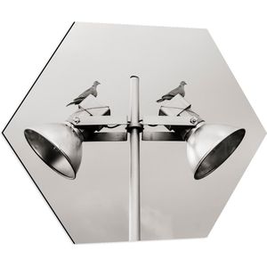 Dibond Hexagon - Grote Speakers op Paal - 70x60.9 cm Foto op Hexagon (Met Ophangsysteem)