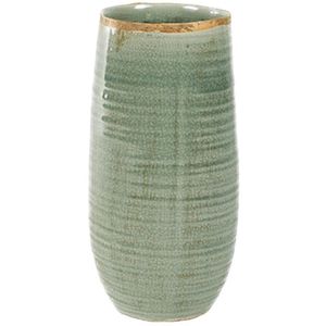 Plantenwinkel Pot iris mint bloempot binnen 12 cm