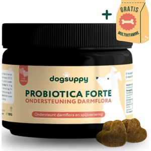 Probiotica Forte snoepjes (MET KIP) | Ondersteunt Darmflora & Spijsvertering | 100% Natuurlijk | +3 miljard Probiotica per snoepje | FAVV goedgekeurd | Probiotica Hond | Hondensupplement | Hondensnacks | Geschenk per bestelling | 60 hondenkoekjes