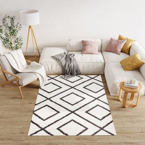 Tapiso Modena Hoogpolig Vloerkleed Shaggy Fluffy Modern Tapijt Maat- 160x220