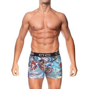 Alexander CoBB boxer long S