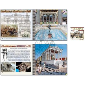 Pompeji gereconstrueerd (Boek met DVD)