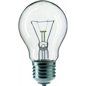 NBB - Gloeilamp - Standaardlamp - 40Watt - E27 fitting - Helder glas - Warm wit - Dimbaar - 40W - Grote fitting (E27) - 230V - 1 STUK(S)