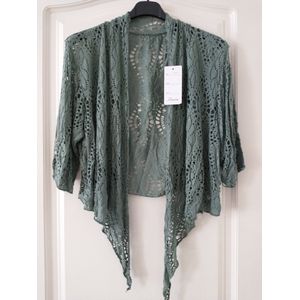 Dames vest Resa effen kaki bolero model XL/XXL curvy mode