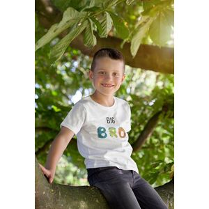 Shirt - big bro - Wurban Wear | Grappig shirt | Leuk cadeau | Unisex tshirt | Kinderkleding jongens | Dino | Dinosaurus | Dinosaurus speelgoed | Dino pak | Baby kleding jongens | Wit