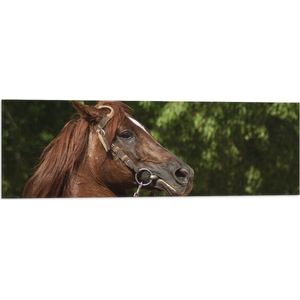 WallClassics - Vlag - Opspringend Bruin Paard - 90x30 cm Foto op Polyester Vlag
