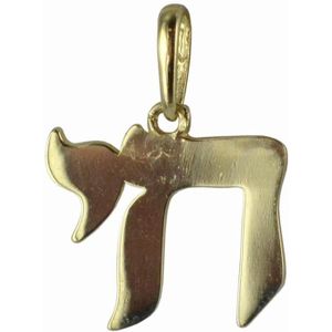 Silventi 9NBSAM-G190660 Gouden Hangertje - Dames - Chai - 9 x 11,5 mm - 14 Karaat - Bedel - Goud