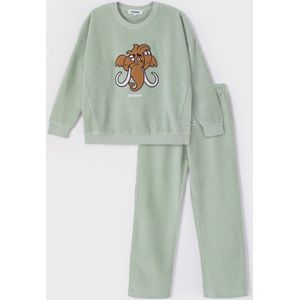 Woody pyjama velours meisjes/dames - pastelgroen - mammoet - 232-10-WPA-V/704 - maat 104