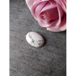 Zaksteen 25 x 18 mm Howliet wit