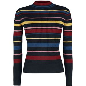 Voodoo Vixen Leah Turtle Necker Dames Gebreide trui - meerkleurig - S