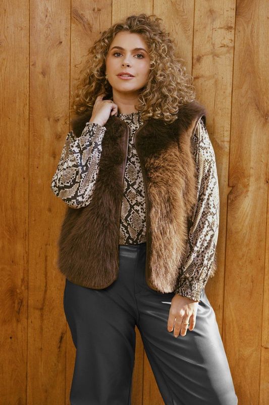 Exxcellent blousetop bruin