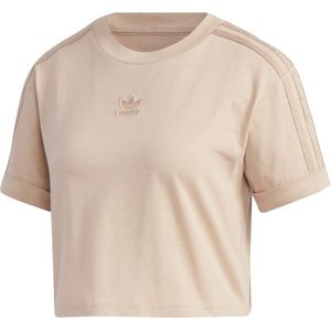 adidas Originals Cropped T-Shirt T-shirt Vrouwen beige FR42/DE40