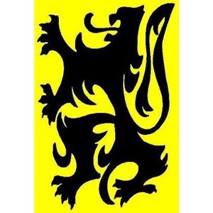 Vlag van Vlaanderen 90 x 150