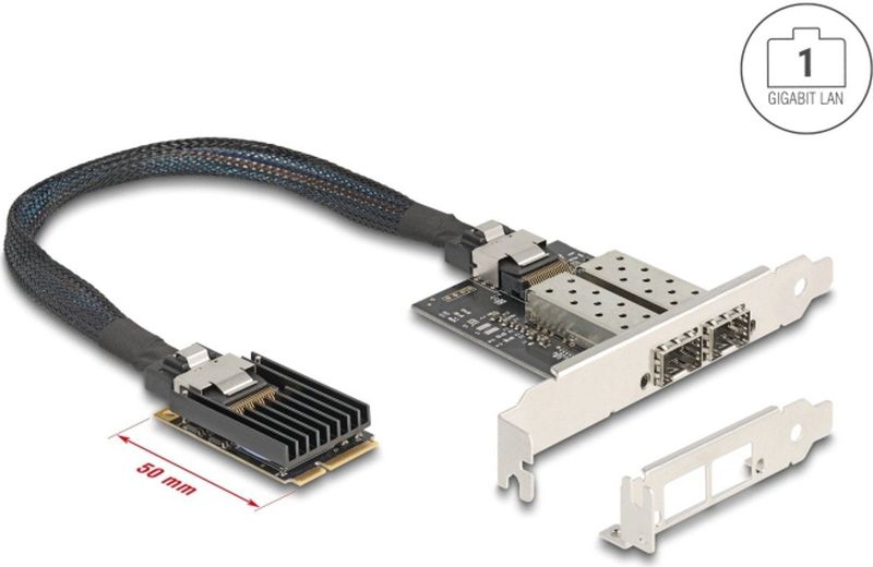 Delock - Mini PCIe-module - Netwerkkaart - 2 Gigabit LAN-interfaces
