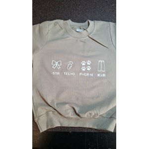 Shirt Aankondiging zwangerschap Rebus Ik word grote broer | lange mouw | zand beige | maat 80 zwangerschap aankondiging bekendmaking Baby big bro brother Grote Broer
