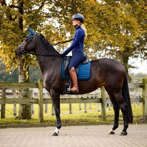 Qhp Rijbroek Lymee Softshell Full-grip Navy - 38