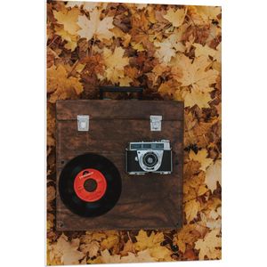 PVC Schuimplaat - Muziekplaat en Vintage Camera op Koffer tussen de Herfstbladeren - 70x105 cm Foto op PVC Schuimplaat (Met Ophangsysteem)