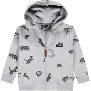 Tumble 'N Dry Jongens Sweatshirt Sim - Grey Melange - Maat 68