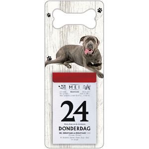 Scheurkalender 2024 Hond: cane corso