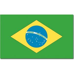 Vlag Brazilie 90 x 150 cm feestartikelen - Brazilie landen thema supporter/fan decoratie artikelen