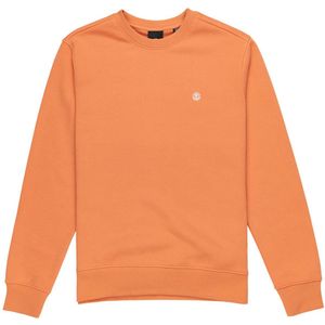 Cornell - Classic - Trui met Capuchon - Grijs - 55% Katoen - Regular Fit