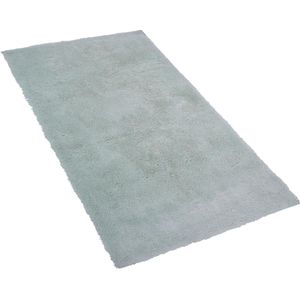 EVREN - Shaggy vloerkleed - Groen - 80 x 150 cm - Polyester