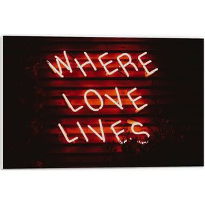 Forex - ''Where Loves Lives'' Rode Neonletters - 60x40cm Foto op Forex
