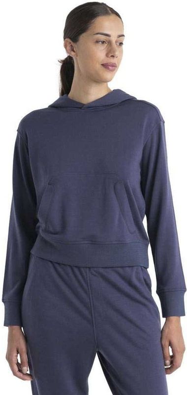 Icebreaker Crush Ii Merino Hoodie Grijs XS Vrouw
