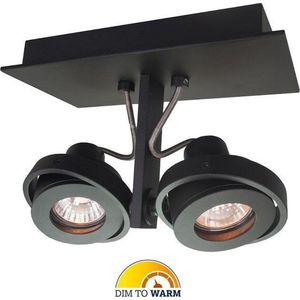 Artdelight - Plafondlamp Meist 2L - Zwart - 2x LED 4,9W 2200K-2700K - IP20 - Dim To Warm