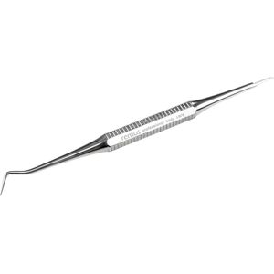 Tandenstoker Roestvrij Staal 9 cm - 2 in 1 met Puntig en Plat Uiteinde