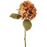 Fleurdirect - Kunsttak Hydrangea - Kunststof - Oranje - 0 x 47 x 0 cm (BxHxD)