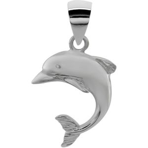 Zilveren hanger, dolfijn