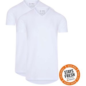 RJ Bodywear Everyday Venlo T-shirt (2-pack) - heren T-shirt met V-hals - wit - Maat: S