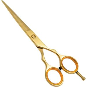 Guardian Beauty Schaar - 6,5 Inch - Roestvrij Staal - Knipschaar met Gratis Etui - Kappersgereedschap