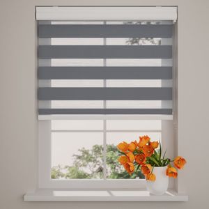 Radeco - Duo Rolgordijn - Grijs - Lichtdoorlatend - 180 x 175 cm