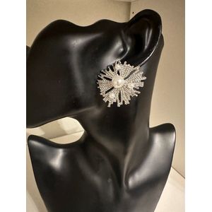 zilverkleurige oorbellen | Moederdag | Verjaardagscadeau| Cadeautje| Valentijnsdag| Kado | sieraden | vaderdag | oorbellen | oorsieraden