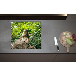 Inductieplaat Beschermer - Bruine Makaak Aap op Rots in Groene Omgeving - 60x55 cm - 2 mm Dik - Inductie Beschermer - Bescherming Inductiekookplaat - Kookplaat Beschermer van Wit Vinyl