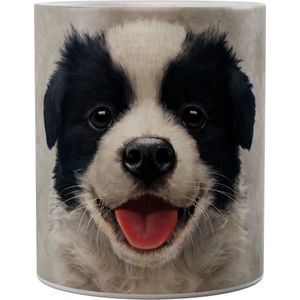Border Collie Puppy - Mok 440ml 440