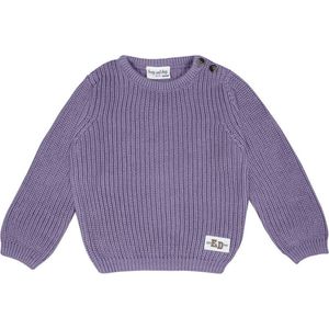 Frogs and Dogs - Smart Club Gebreide Trui Kids | Blue Mauve - Katoen - Maat 92