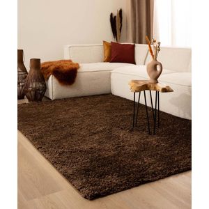 Hoogpolig vloerkleed shaggy Trend effen - bruin 200x300 cm