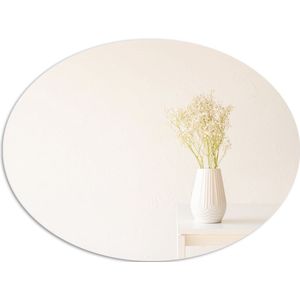 PVC Schuimplaat Ovaal - Witte Keramieken Vaas vol Gipskruid Bloemen in Beige Omgeving - 96x72 cm Foto op Ovaal (Met Ophangsysteem)