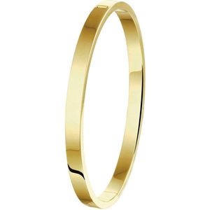 Zilgold Massief Vlakke Buis 5 X 61 mm - Geelgoud Met Zilveren Kern