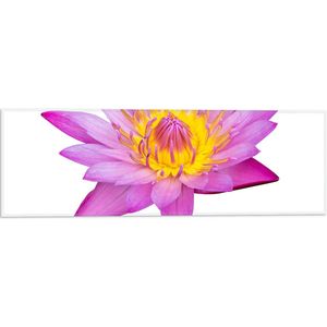 Vlag - Tekening van Roze Lotus Bloem tegen Witte Achtergrond - 60x20 cm Foto op Polyester Vlag